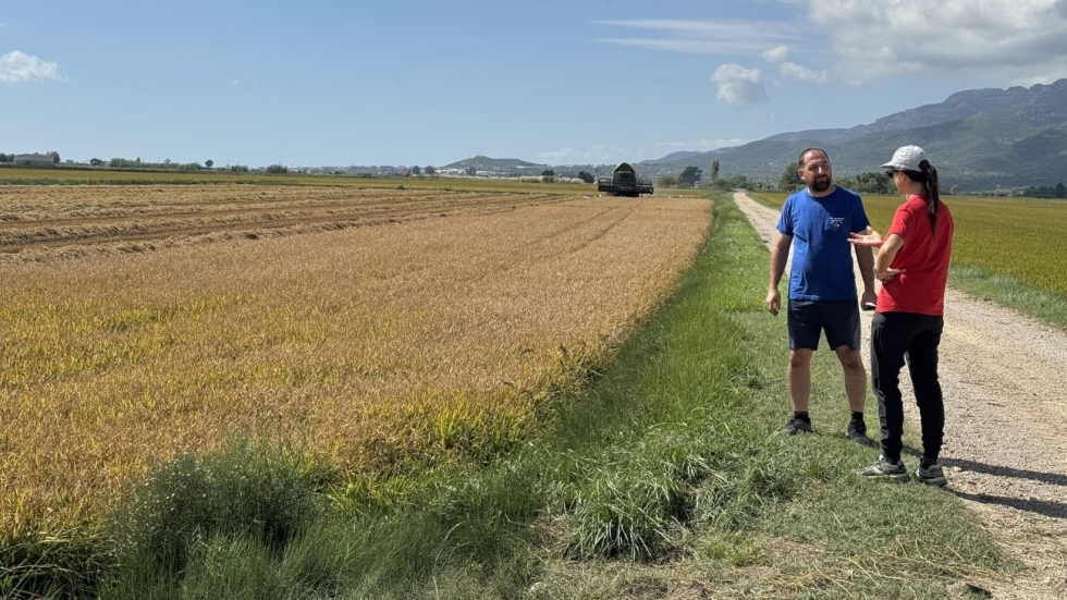 Figura 2. Agricultor del programa Kellogg's Origins recibiendo asesoramiento de un t�cnico del IRTA en la cosecha