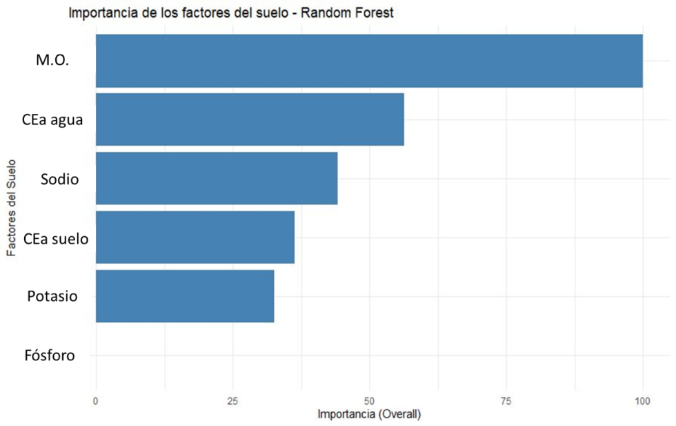 Figura 10. Ranking de importancia en factores del suelo. Modelo Random Forest