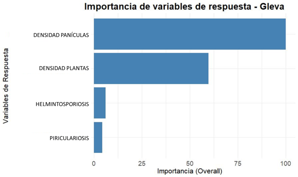 Figura 12. Ranking de importancia en variables de respuesta. Modelo Random Forest
