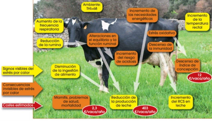 Figura 2. Representaci�n gr�fica de las consecuencias productivas y econ�micas