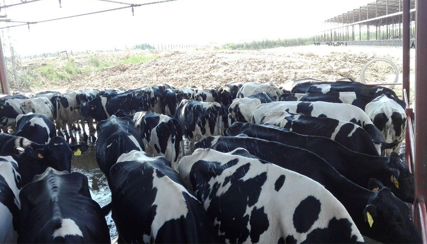 Figura 4. Combinaci�n de duchas y ventiladores en sala de espera