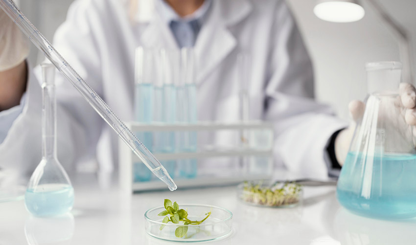 La aplicaci�n de inteligencia artificial y tecnolog�as digitales impulsa el uso de ingredientes sostenibles y modelos de econom�a circular sin...