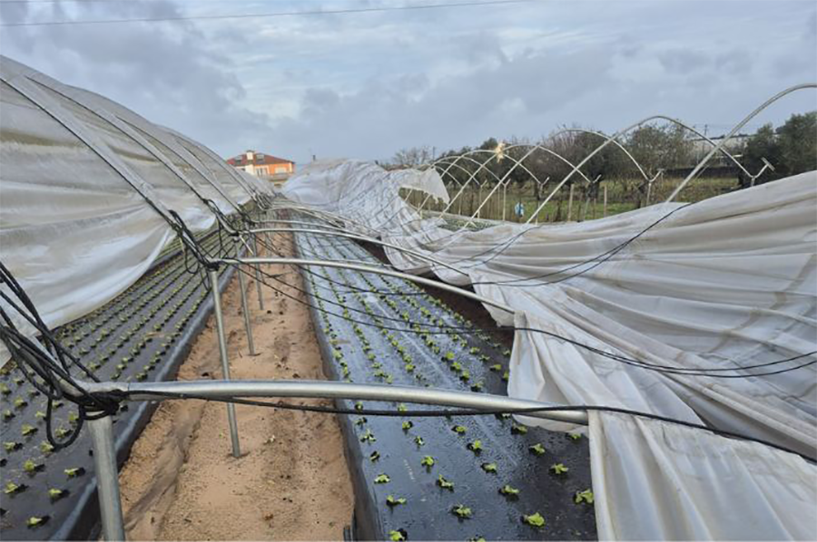 foto: � Confedera��o Nacional da Agricultura (CNA) / DR