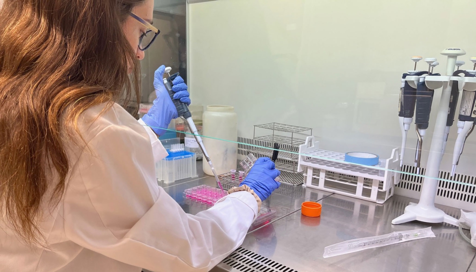 Eurecat demuestra el potencial neuroprotector de extractos agr�colas ricos en polifenoles obtenidos de la cebolla roja...