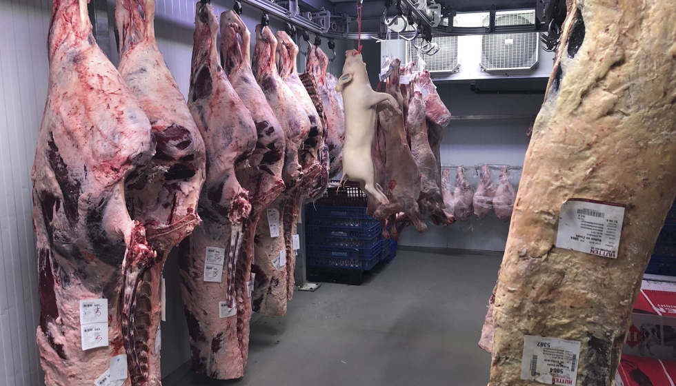 Canales de ganado vacuno en una industria c�rnica