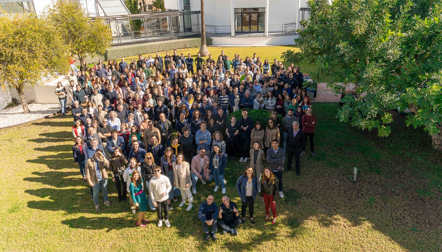 Equipo de profesionales de Aimplas