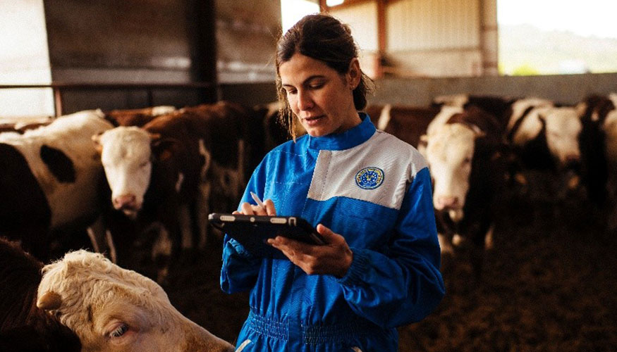 Una ganadera consulta en la tablet aspectos de su explotaci�n