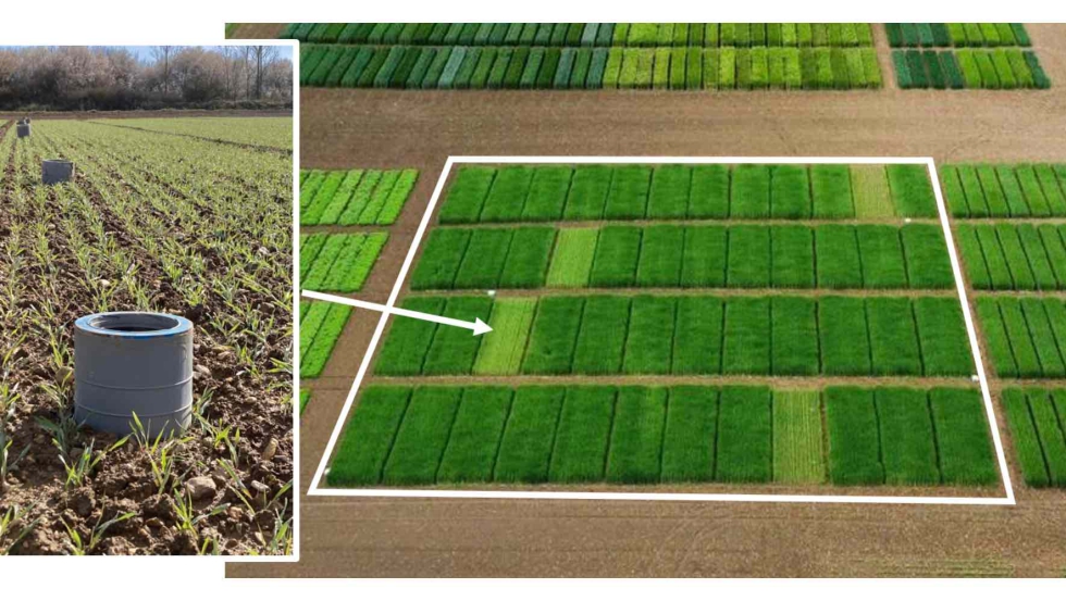 Los visitantes al stand de EuroChem pueden participar en el sorteo diario de un dron y en el sorteo final de un sistema de visualizaci�n GFX-350...