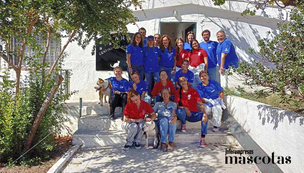 El programa de voluntariado corporativo �Conectados� acerc� a empresas y profesionales a la realidad de las protectoras durante jornadas de...