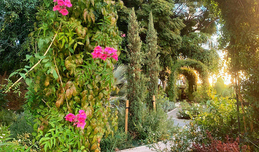 �Jard�n de los Sentidos�