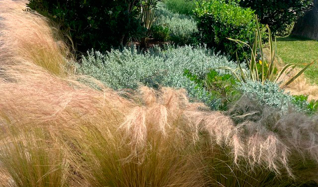 Los Colores del Litoral