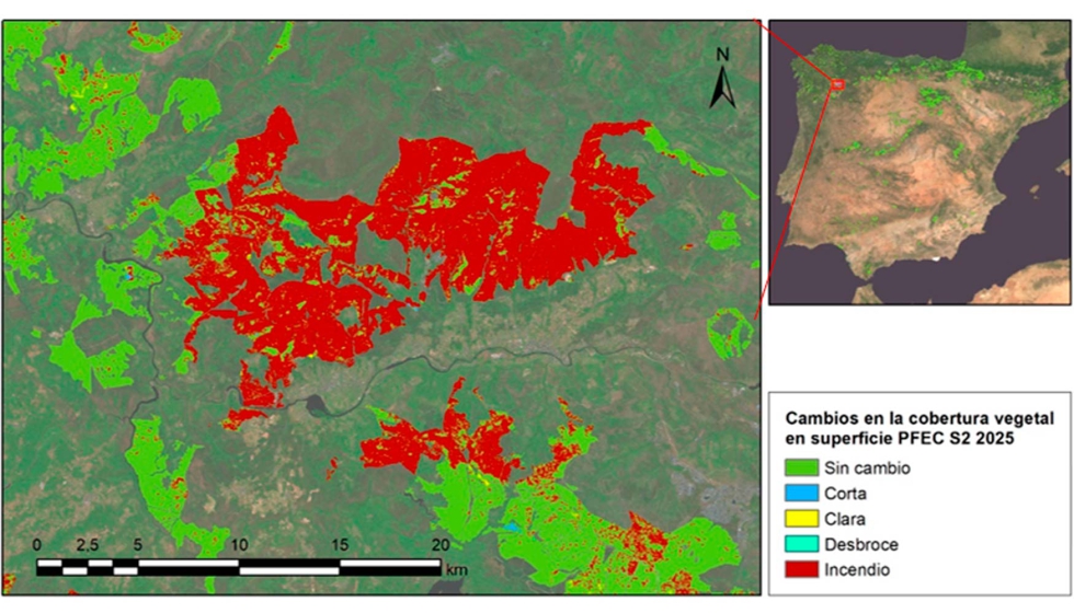 Detalle de cambios en la cobertura vegetal en superficie certificada PEFC en la provincia de Ourense