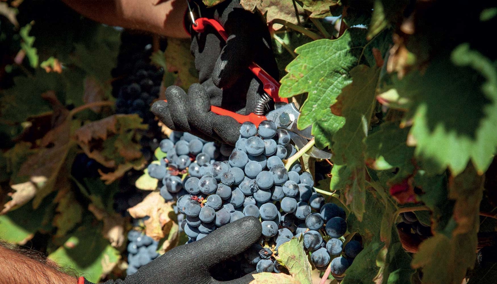 Tijeras para poda 3Claveles