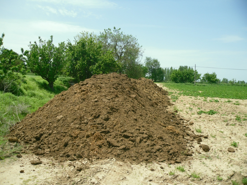 La UE adopta nuevas normas sobre fertilizantes a base de esti�rcol para reducir importaciones