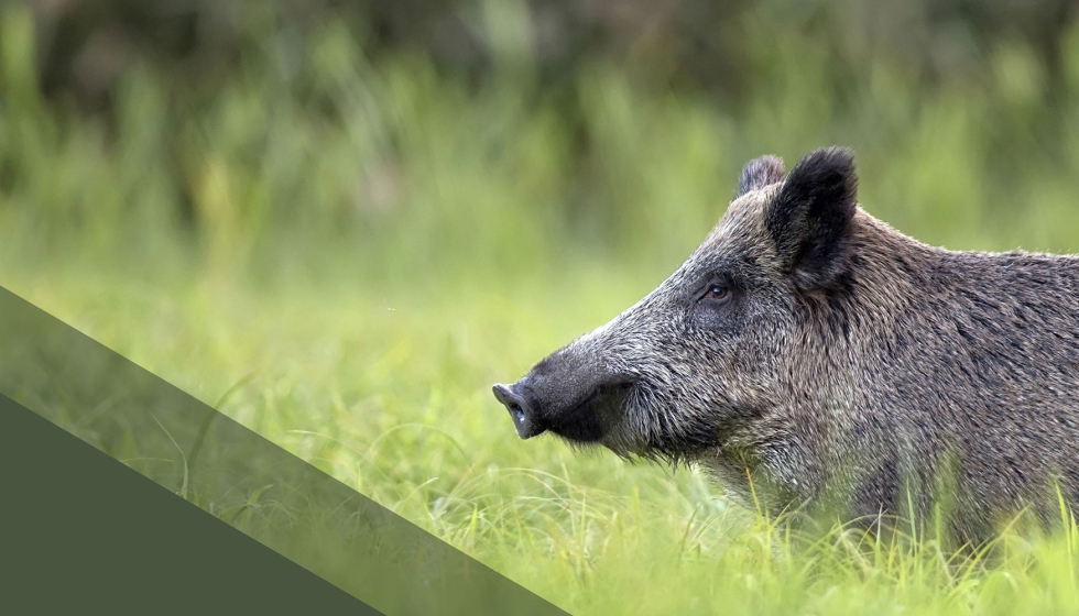 Portada del informe del comit� cient�fico