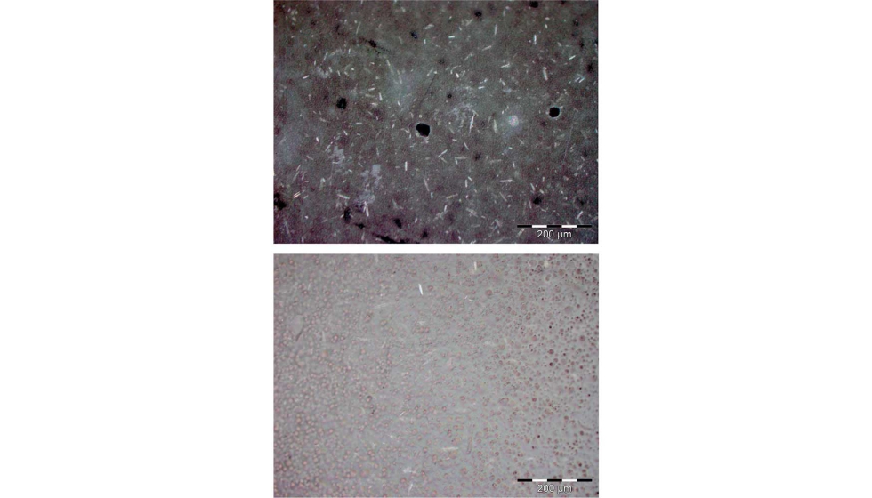 Figura 7. Principales defectos observados en las muestras antes de cualquier ensayo. Se pueden observar poros y una superficie rugosa en las muestras...
