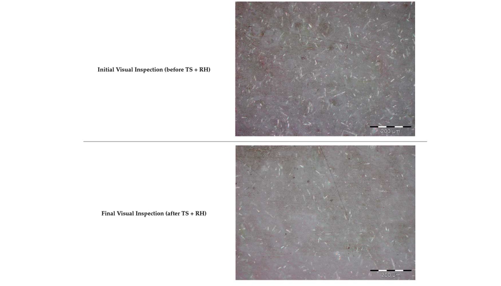 Tabla 13. Resultados de la inspecci�n visual antes y despu�s de la prueba TS + RH para una muestra al 10% en peso (aumento de 20�)...
