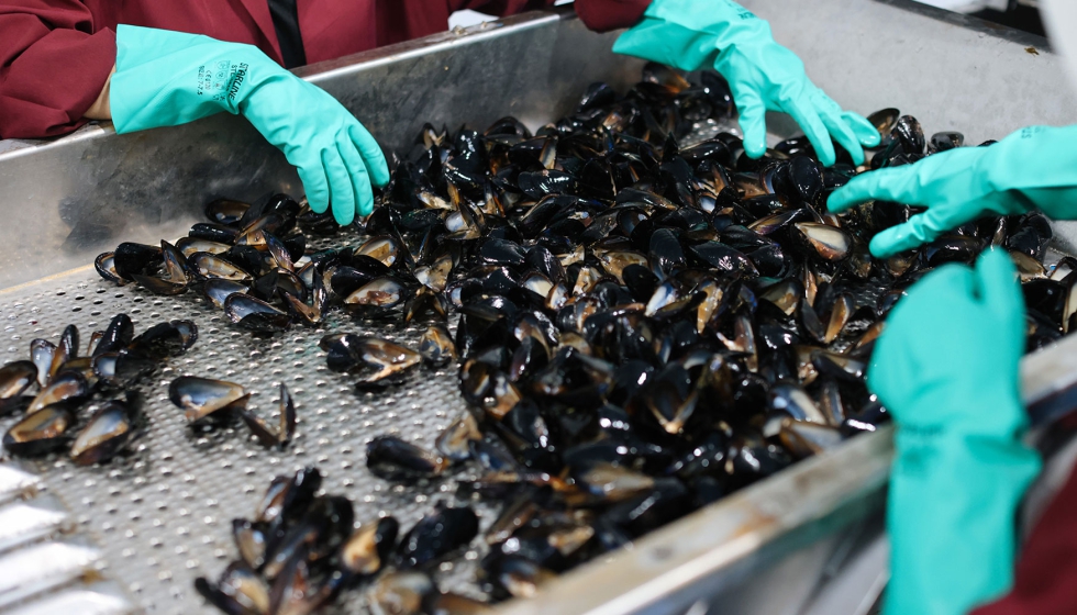 Foto de Nuevas tecnolog�as digitales mejoran la sostenibilidad y la eficiencia en la producci�n de mejill�n y pulpo en Galicia