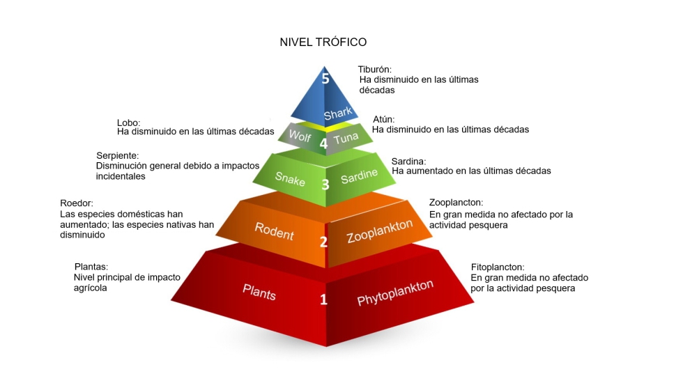 Grado de impacto en cada nivel tr�fico de la agricultura (izquierda) frente a la pesca (derecha)