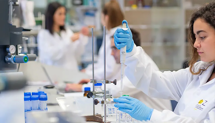 Los resultados confirman el potencial de las prote�nas vegetales...