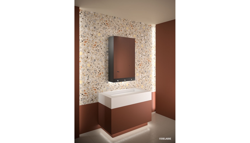 La gama de armarios espejos 4 en 1 de Delabie es una soluci�n adecuada tanto para las peque�as como las grandes colectividades...