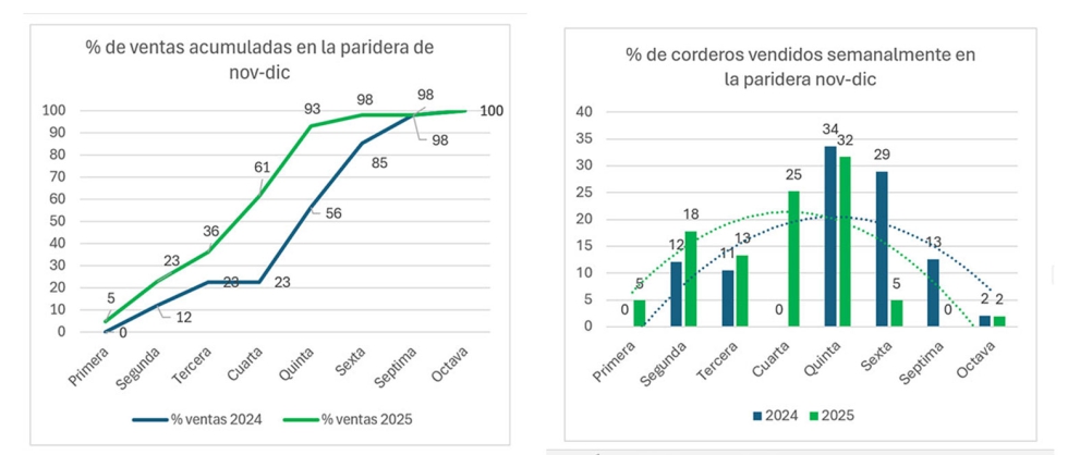 Gr�ficos 2 y 3. Distribuci�n de las ventas de corderos en las parideras de nov-dic de 2024 y 2025