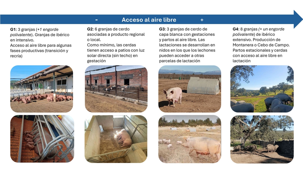 Figura 1. Clasificaci�n de granjas de cr�a de cerdos visitadas en este trabajo