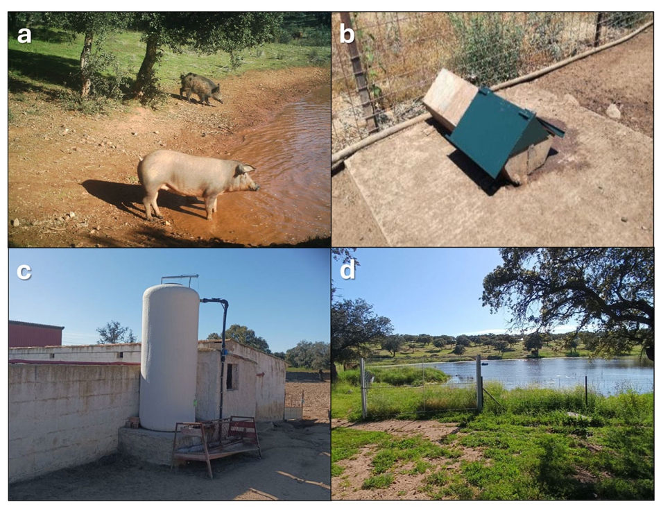 Figura 4. a) Provisi�n de agua de fuentes naturales...