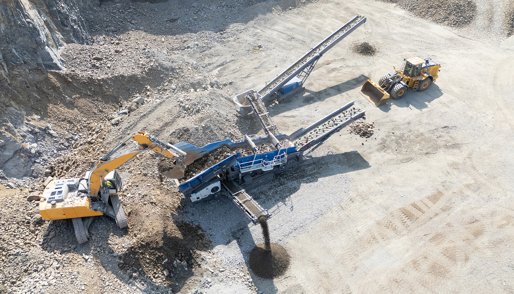 Estreno en el mercado...