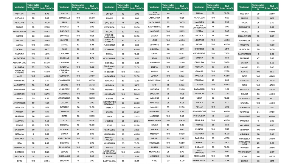 Tabla 2. Evaluaci�n de las variedades frente a H.solani