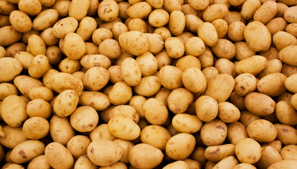 Espa�a bati� el r�cord de importaciones de patata fresca en 2025, superando los 1,3 millones de toneladas...