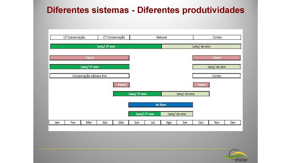 Figura 1 � Representa��o esquem�tica das diferentes t�cnicas de produ��o de framboesas com lan�amentos do ano e de segundo ano...