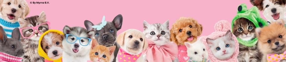 Studio Pets (Luk Internacional)