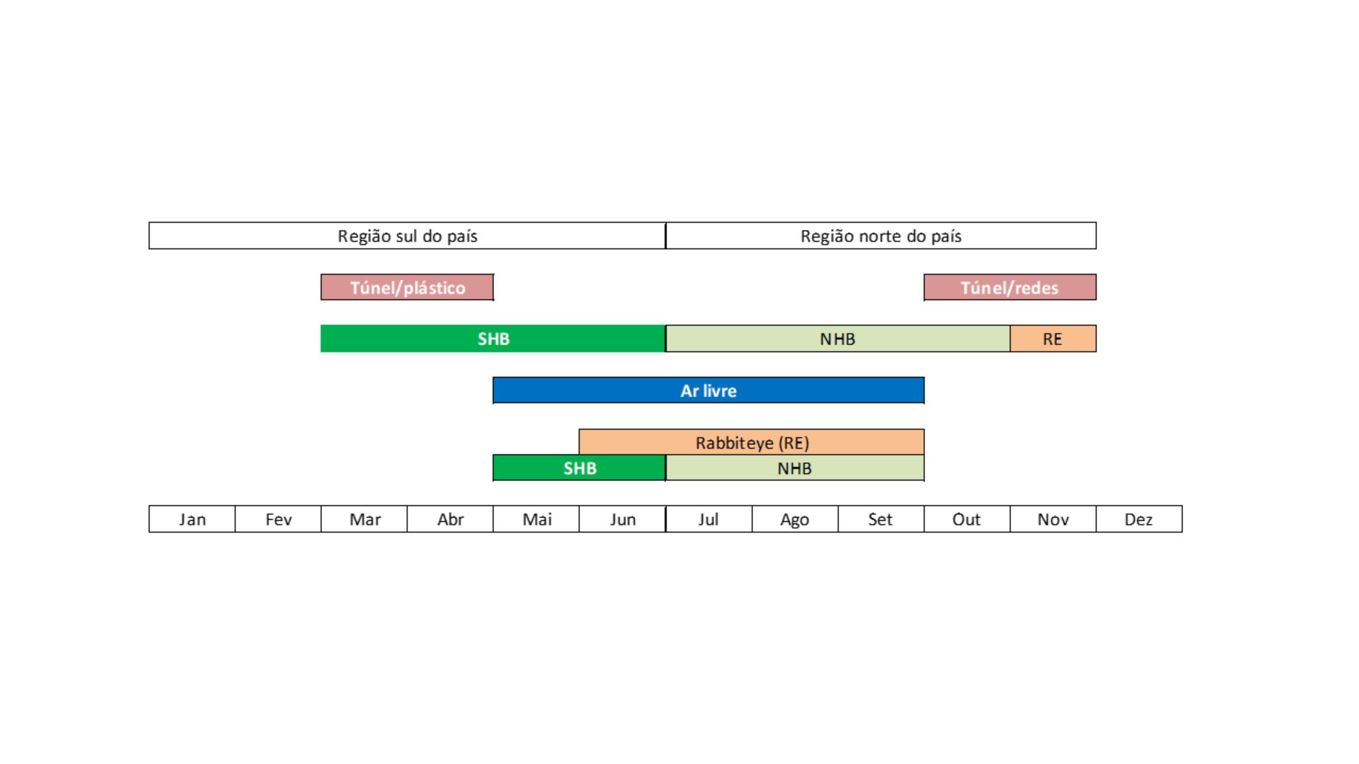 Figura 4 - Representa��o esquem�tica das �pocas de produ��o dos diferentes tipos de mirtilo produzidos na regi�o Norte e Sul de Portugal...