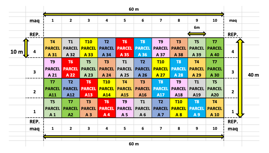 Figura 1. Distribuci�n de los ensayos en las microparcelas ensayadas en Montorio (Burgos)...