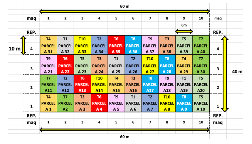 Figura 2. Distribuci�n de los ensayos en las microparcelas ensayadas en Mave (Palencia)...