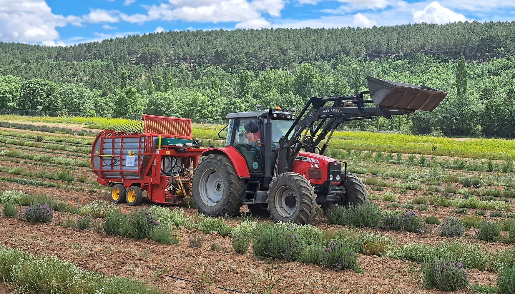 Desde el inicio, Biovalor se plante� con un enfoque multidisciplinar que integrara gesti�n forestal, producci�n agraria...