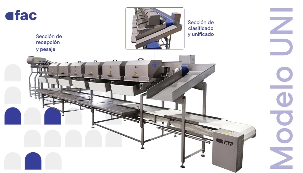 Clasificadora unificadora por peso UNI