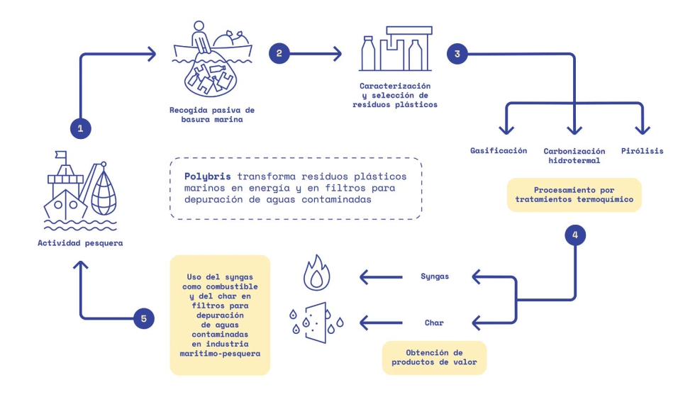 Los an�lisis m�s recientes realizados por el Instituto de Investigaci�ns Mari�as (IIM-CSIC) muestran que, en un periodo cercano a ocho horas...