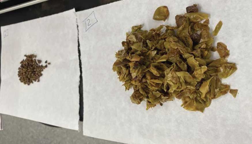 Muestras analizadas en el laboratorio