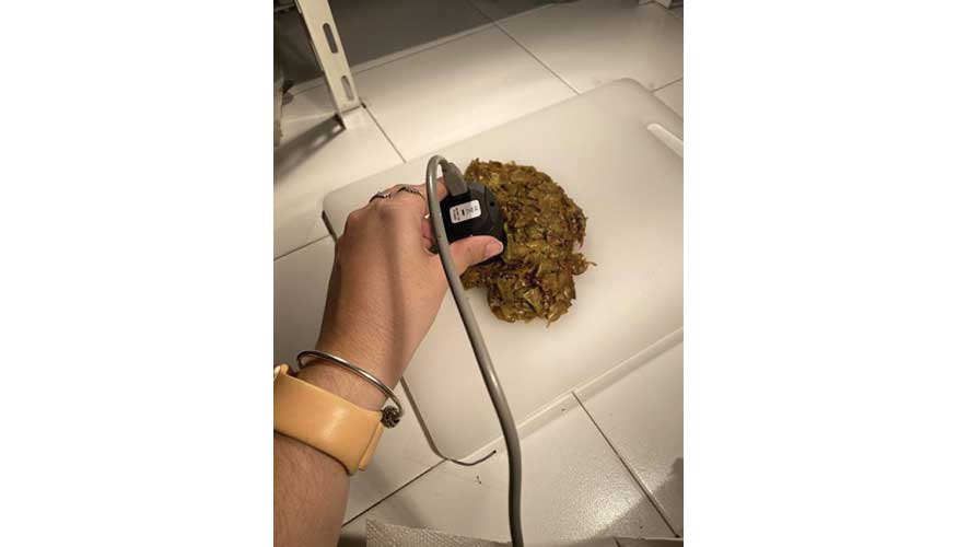 Ensayos con restos de uva