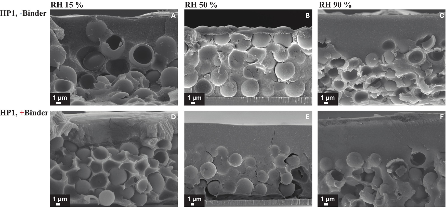Im�genes SEM de secci�n transversal de recubrimientos fracturados que contienen HP1 y part�culas de pol�mero aglutinante cargadas negativa o...