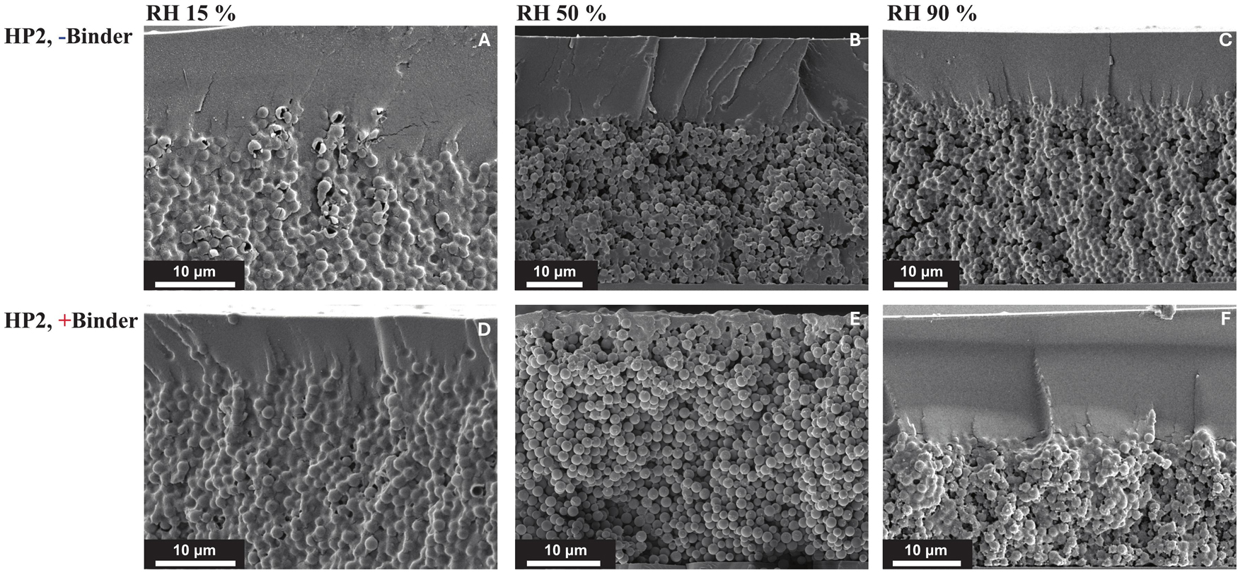 Im�genes SEM de secci�n transversal de recubrimientos fracturados que contienen HP2 y part�culas de pol�mero aglutinante cargadas negativa o...