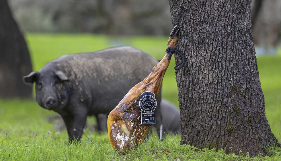 El Gran Reserva Premium de Ib�ricos Casa Lucas recibir� la Medalla Gran Oro de Monde Selection en el Museo d'Orsay de Paris...