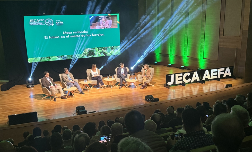 La �ltima edici�n de JECA se celebr� en el Auditorio Miguel Delibes de Valladolid en 2024