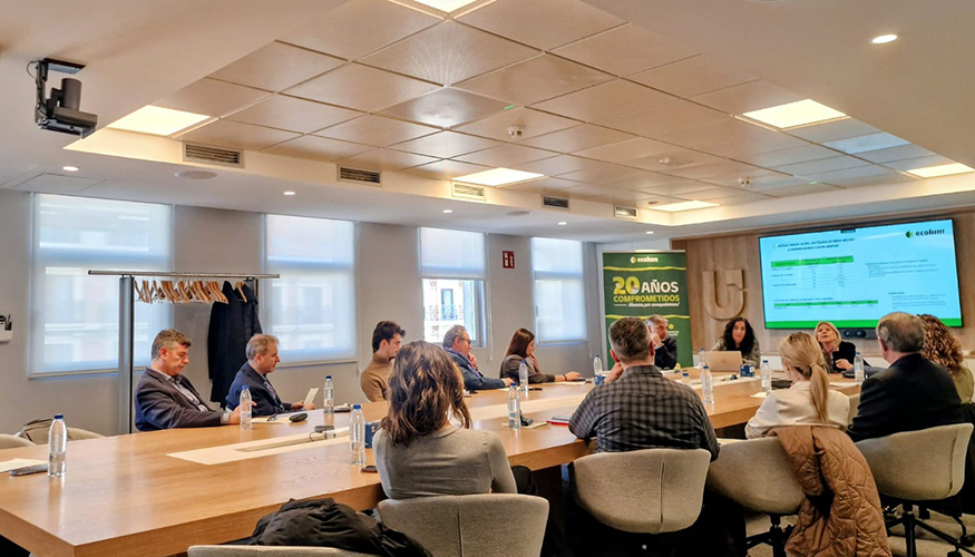 Tras dos d�cadas de actividad, Ecolum afronta un escenario marcado por mayores exigencias regulatorias...