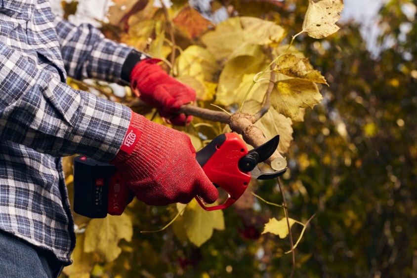 Potente: la FELCO 2e corta ramas de hasta 27 mm
