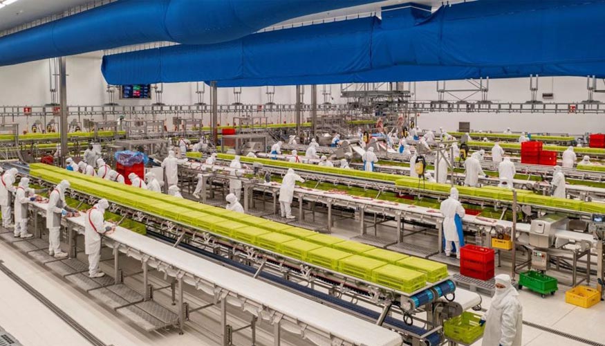 Interior de la planta de Noel Alimentaria en Olot (Girona)...