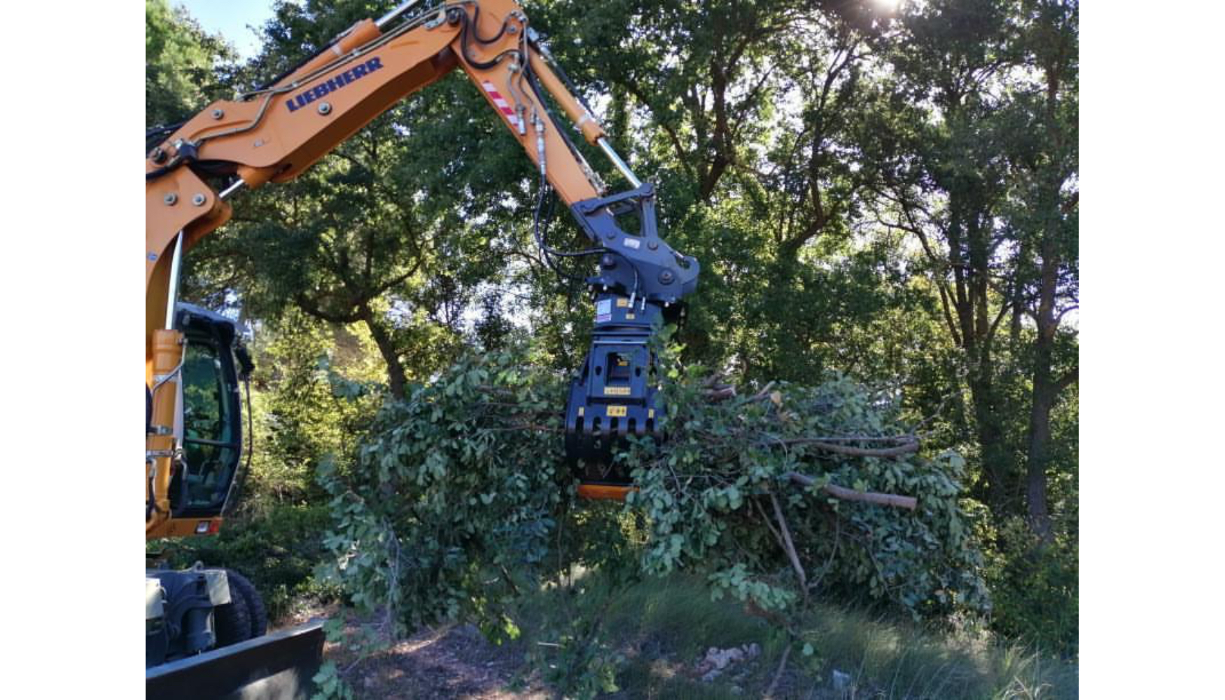 Pinza seleccionadora MB-G 600