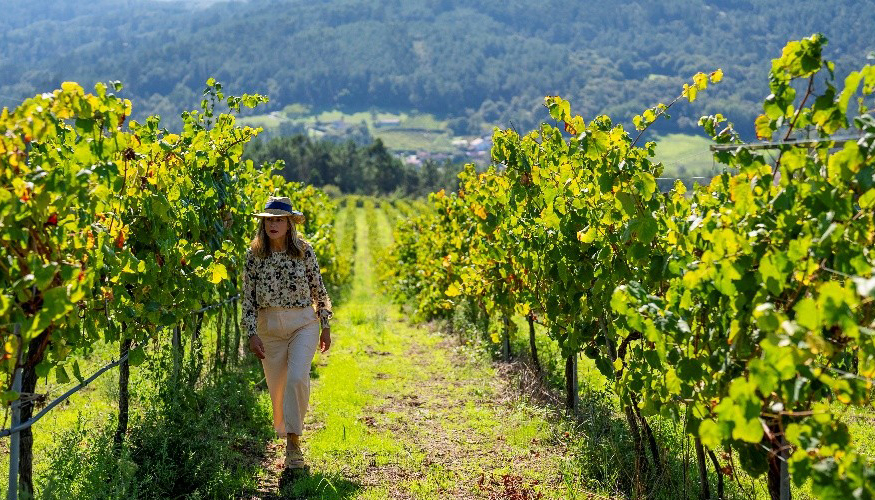 Fandi�o: �Tenemos vi�as y uvas excepcionales, paisajes extraordinarios y una cultura del vino de gran riqueza&quote;